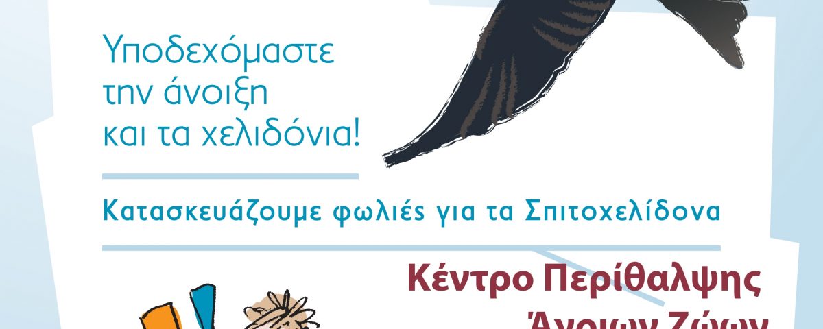 αφίσα χελιδονίσματα (1)